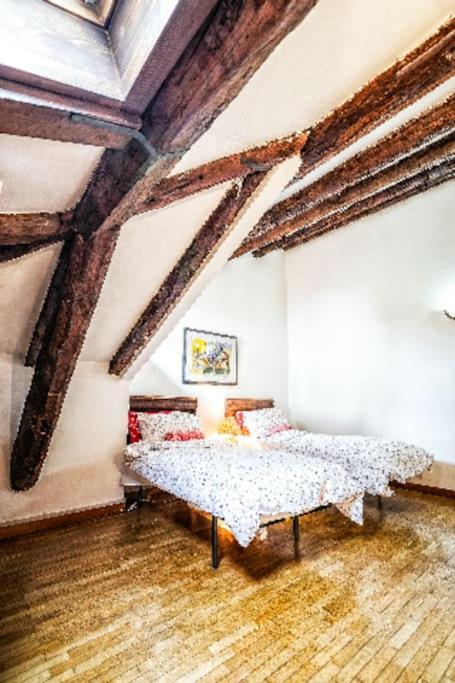Loft Overlooking The Old Town . Feltre Eksteriør bilde